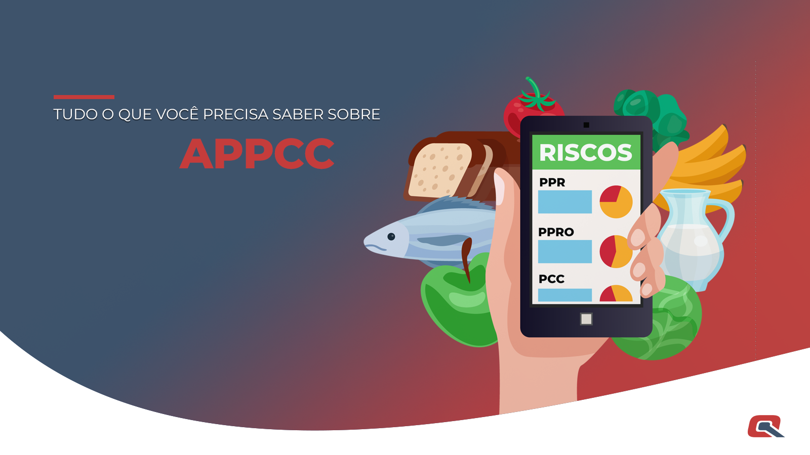 Tudo Que Voc Precisa Saber Sobre Montagem De Planos Appcc