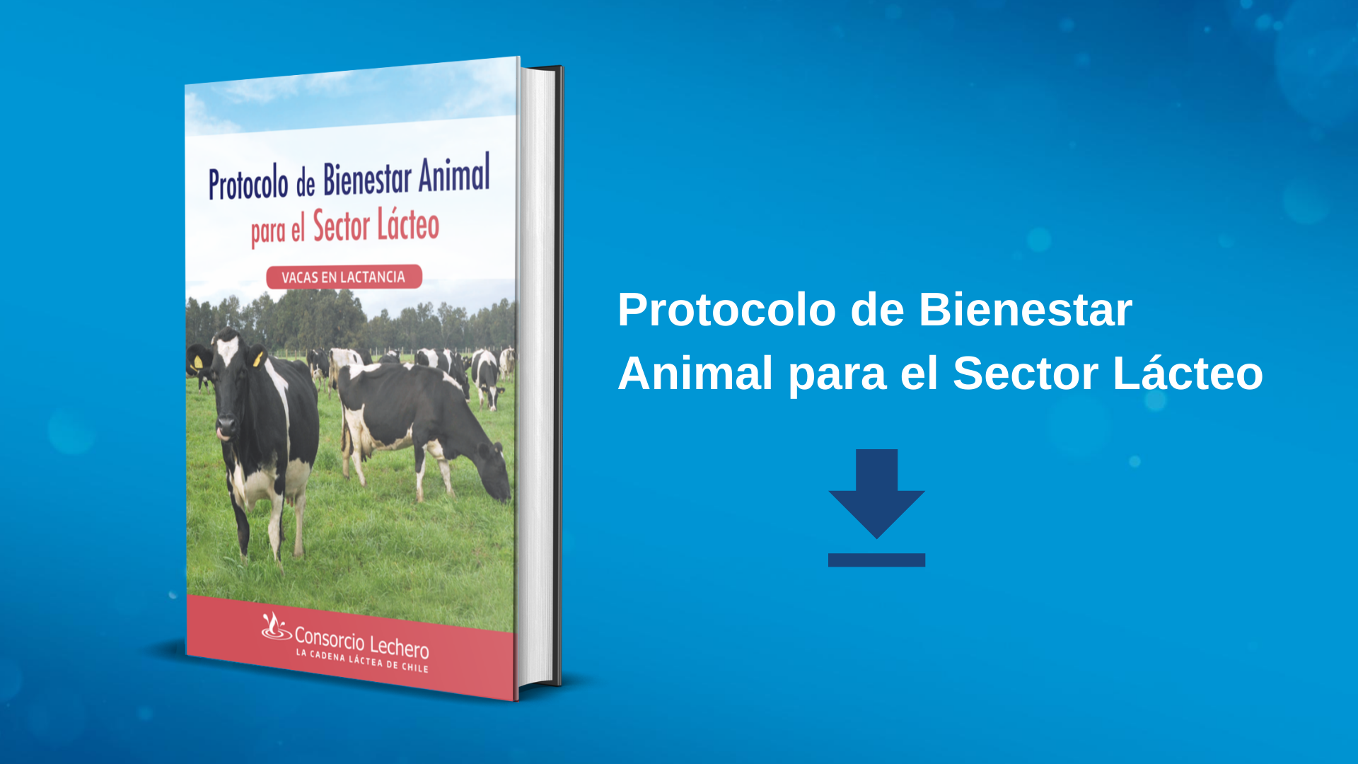 Protocolo de Bienestar Animal para el Sector Lácteo