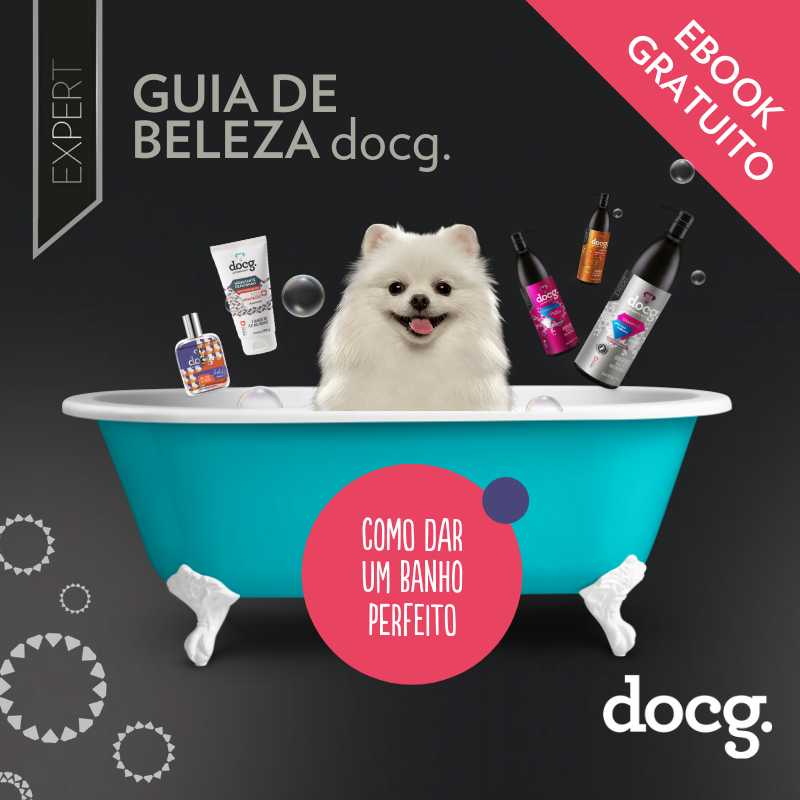 Pet shop banho e tosa perto de mim: guia e dicas essenciais