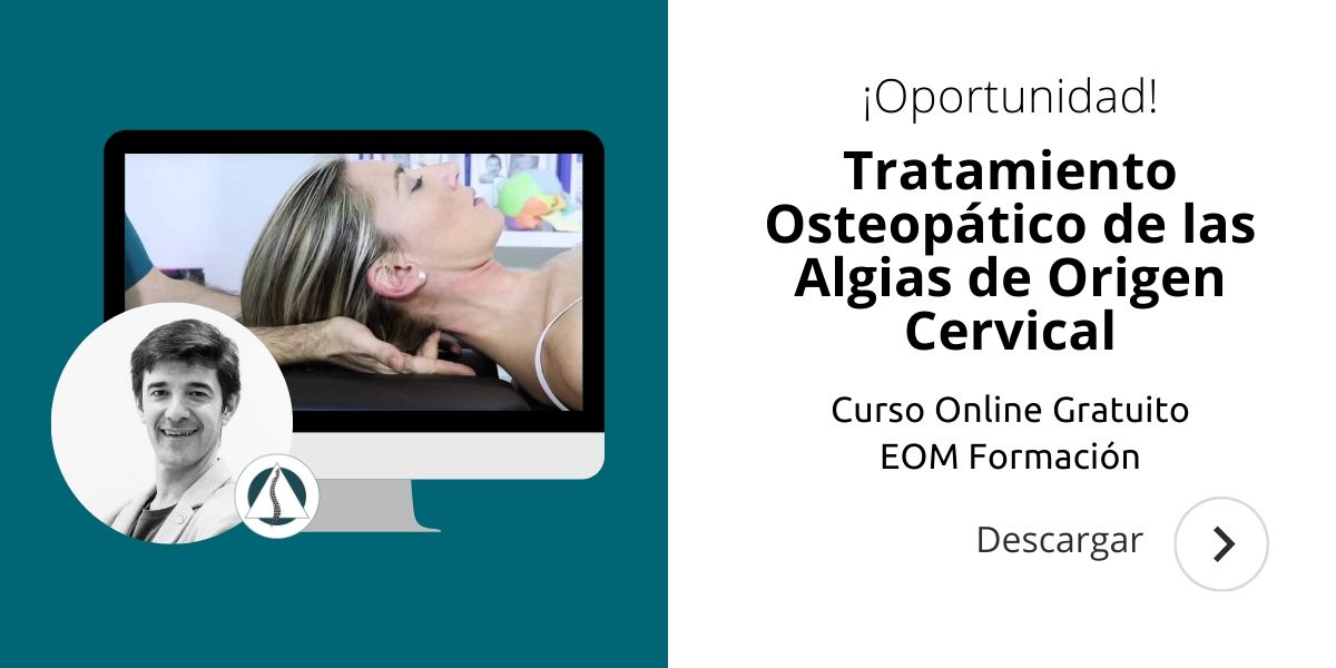 Curso Academy Tratamiento Osteopático De Las Algias De Origen Cervical 0185