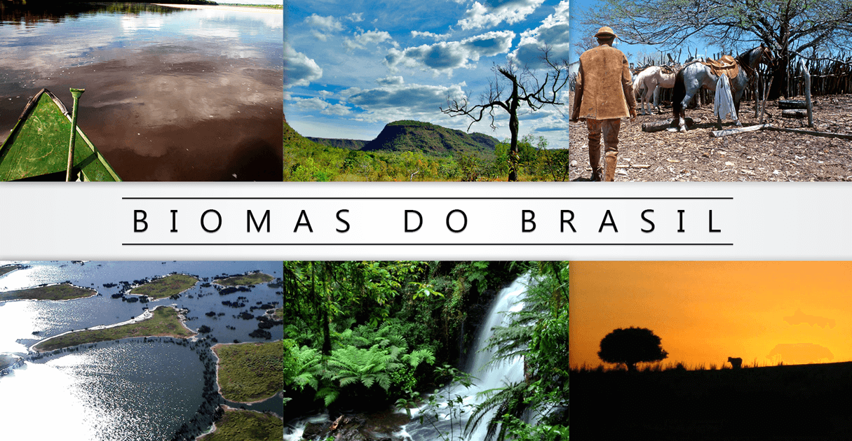 E-book Biomas Do Brasil