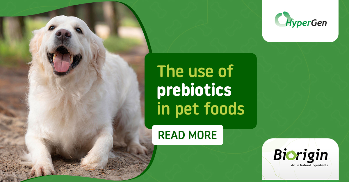 Pet Food Trends Insights: Prebiotics